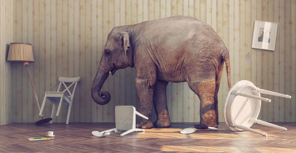 Network Transformation – How to handle the elephant in the room